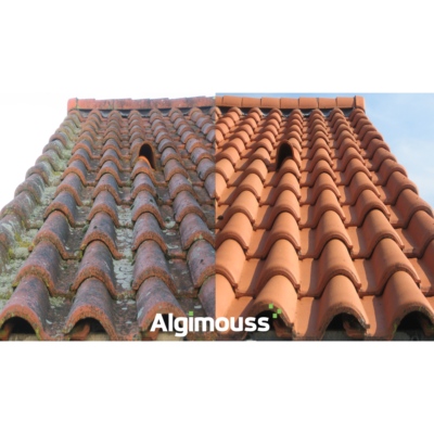 Antimousse élimine lichens, algues, moisissure pour toiture et mur 30L - Algimouss