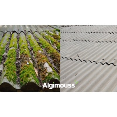 Antimousse élimine lichens, algues, moisissure pour toiture et mur 30L - Algimouss