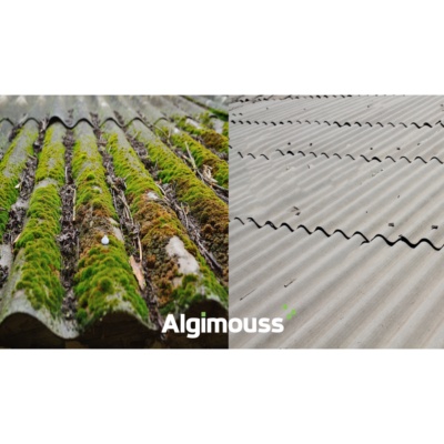 Antimousse élimine lichens, algues, moisissure pour toiture et mur 5L - Algimouss