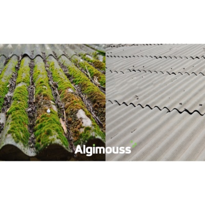 Antimousse élimine lichens, algues, moisissure pour toiture et mur 5L - Algimouss
